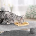 Best 3 Cat Tree & Tower With Feeding Station In 2020 Reviews