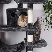 Best 5 Cat Climbing, Activity & Play Towers & Trees Reviews